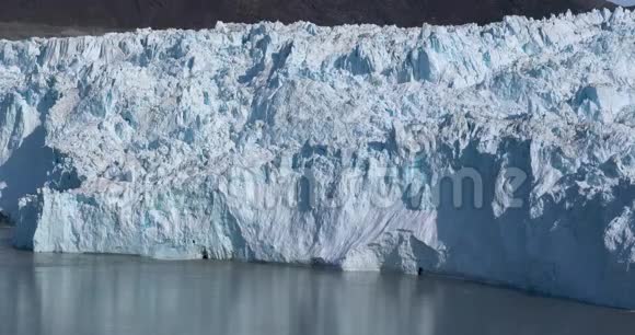 伊利萨特附近格陵兰EqiEqipSermia冰川大片崩冰视频视频的预览图