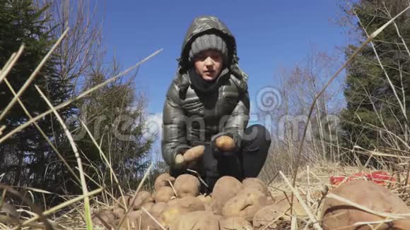 女人把土豆扔在草地上野生动物喂养概念视频的预览图