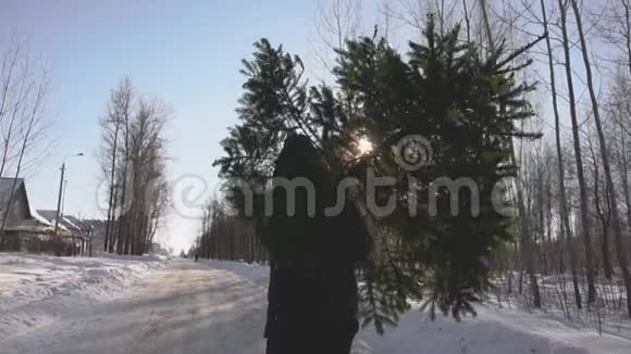 在新年和平安夜之前人们把倒下的郁郁葱葱的树扛到了他的家他在雪地里走视频的预览图