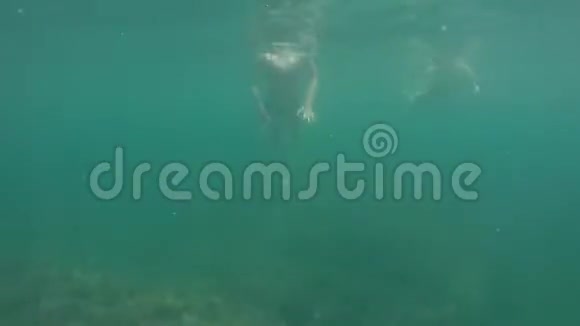 奥卡亚家族沐浴在群青海中水上和水下视频的预览图