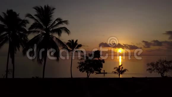 日出棕榈树放大视频的预览图