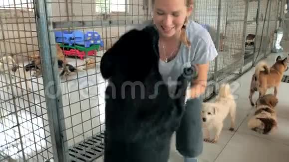 年轻女孩拥抱和宠物笼子里的流浪狗在宠物收容所人动物志愿服务和帮助概念视频的预览图