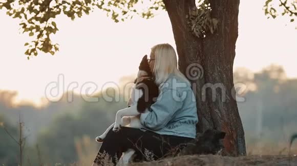 女人和狗在大自然中玩耍坐在树附近和宠物一起享受夏天视频的预览图