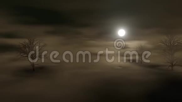 夜晚在满月和星星的照耀下黑暗的雾风景观与树木和池塘的无缝环路视频的预览图