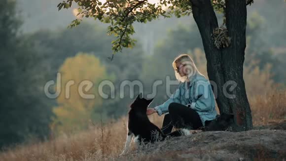 女人和狗在大自然中玩耍坐在树附近和宠物一起享受夏天视频的预览图