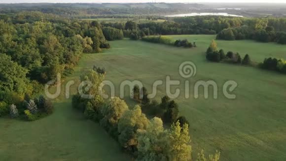有森林和湖泊的田野无人驾驶飞机的鸟瞰图视频的预览图