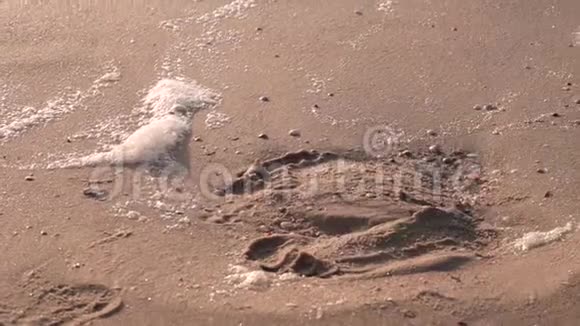 女人的腿在沙子上留下痕迹来回走动回到自己的指纹视频的预览图