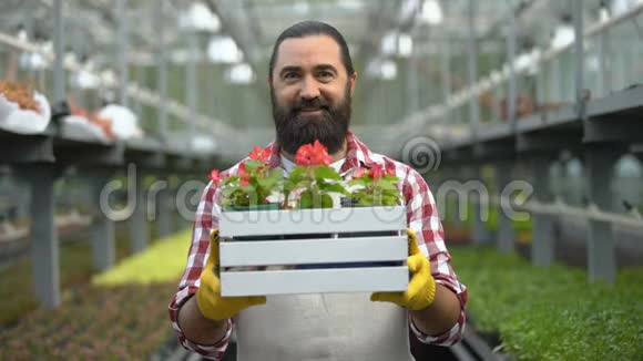 男人捧着花箱在温室里微笑成功的园艺生意视频的预览图