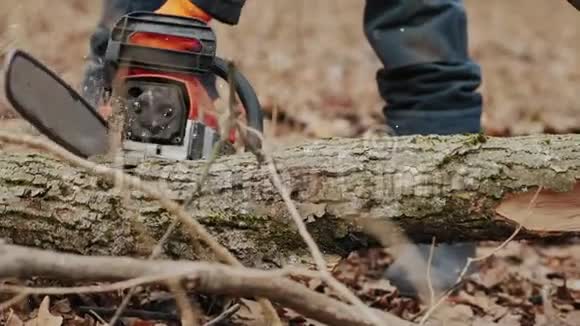 人用电锯砍倒一棵树干视频的预览图