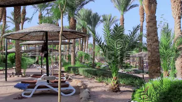 埃及旅游胜地红海海滩视频的预览图