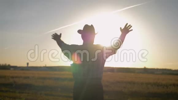 老农夫举起双手朝站在麦田里的太阳走来视频的预览图