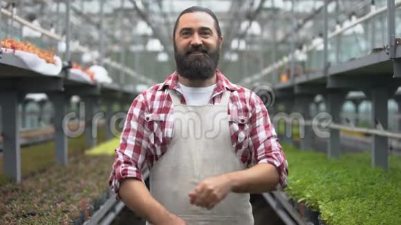 成功的农民在温室里双臂交叉胸脯农业企业视频的预览图