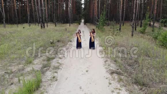两个女竖琴手站在森林路上弹琴视频的预览图
