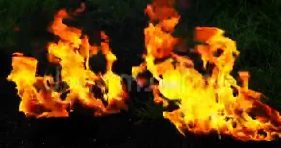 强风吹过燃烧的火焰视频的预览图