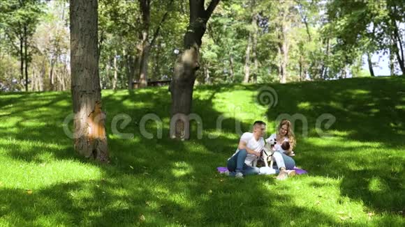 夏季公园里有新生遛狗宝宝的年轻家庭视频的预览图
