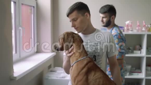 兽医给狗吃药视频的预览图