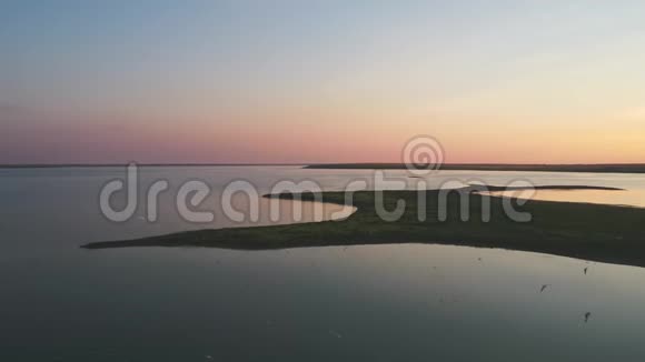 白色的海鸥飞过河上的小岛日落时从高处拍摄视频的预览图