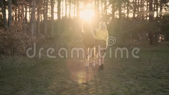 在树林里的浪漫女孩用白色的鬃毛拥抱美丽的雄性棕马在阳光下缓慢的运动视频的预览图