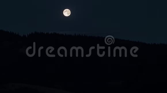 满月在夜晚的树后落下视频的预览图