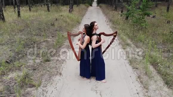 两个女竖琴手站在森林路上弹琴视频的预览图