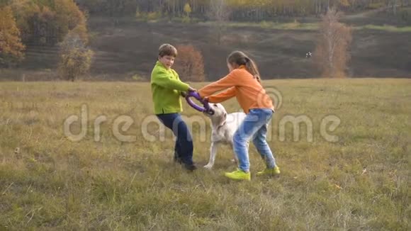 两个孩子在球场上玩金毛猎犬视频的预览图