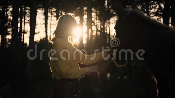 穿着黄色毛衣的快乐女人牵着她可爱的马抚摸着她在树林里美丽的日落慢慢地视频的预览图