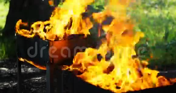 在布拉齐尔煤中燃烧着明亮的黄色火焰视频的预览图