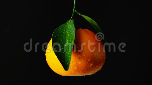 带叶子的橙色橘子视频的预览图