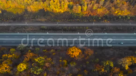 森林之路美丽的秋色鸟瞰视频的预览图