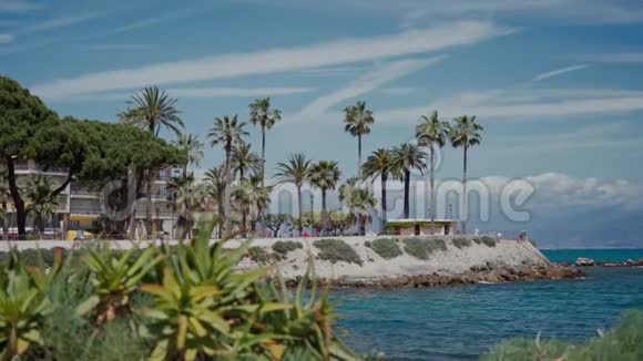 从热带植物到位于法国里维埃拉的地中海公园的棕榈树小巷侧视重点视频的预览图