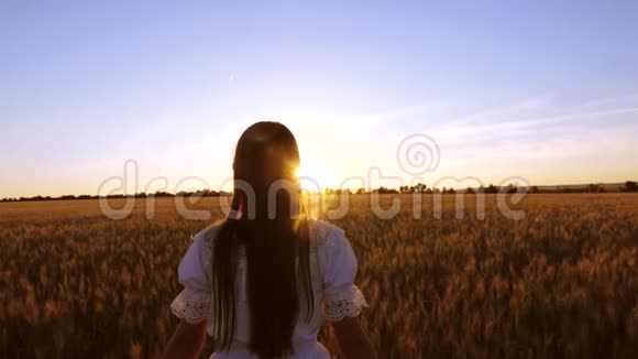 快乐的孩子在田野里散步快乐的女孩带着黄色的小麦走过田野用手摸着麦穗视频的预览图