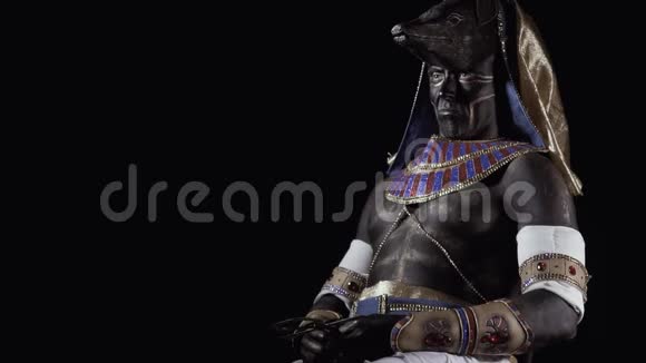 古埃及的神阿努比斯一个像阿努比斯那样化妆和穿衣服的人视频的预览图