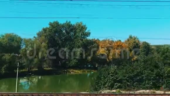 从火车上拍摄的森林景观视频的预览图