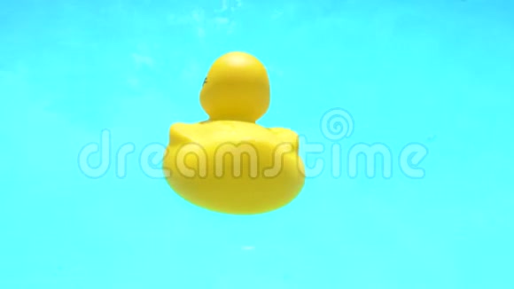 蓝色背景上的黄色橡胶鸭视频的预览图