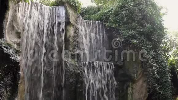 森林中的一个大山崖上的多条瀑布山的自然背景视频的预览图