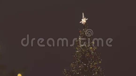 夜晚广场上美丽闪烁的圣诞树视频的预览图