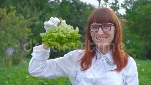 女人拿着新鲜的生菜叶站在菜园里视频的预览图