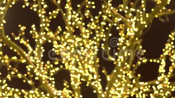 树枝被节日的灯光包裹着圣诞街灯特写镜头模糊视频的预览图