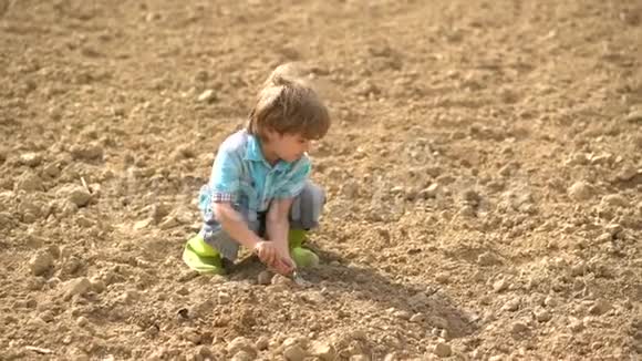 幼儿发展可爱的小农夫在春天的田野里和土豆泥一起工作在农场里种孩子的农夫视频的预览图