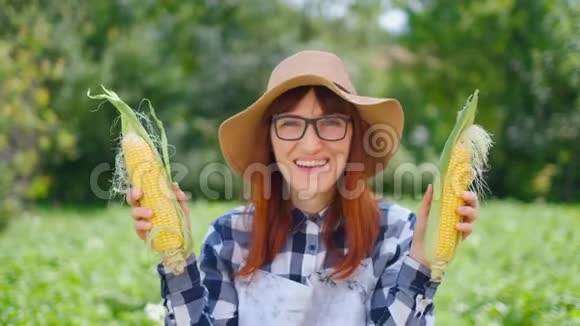 年轻快乐的女孩在田里展示收获的玉米视频的预览图