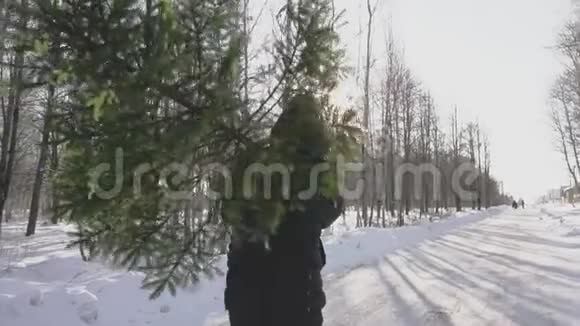 在平安夜和新年之前一个人扛着一棵郁郁葱葱的树来到他的家在雪地里行走的人视频的预览图