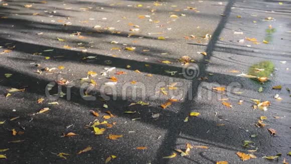 落叶沥青黄色街道秋天视频的预览图