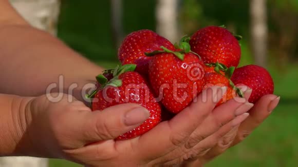 手里拿着美味的鲜红色草莓视频的预览图