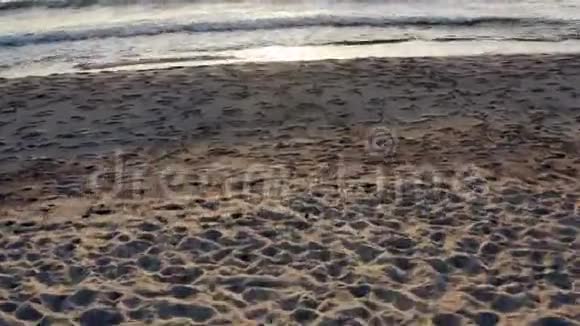 干净的沙滩和美丽的沙滩视频的预览图