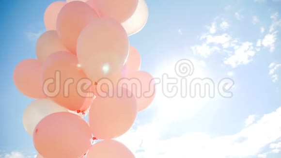 粉红色的气球装在一捆里视频的预览图