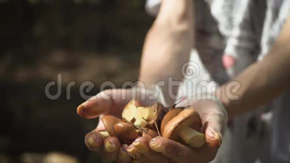 女孩拿着蘑菇女人手里拿着蘑菇视频的预览图