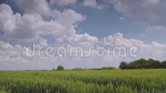 天空浮云下的草田视频的预览图