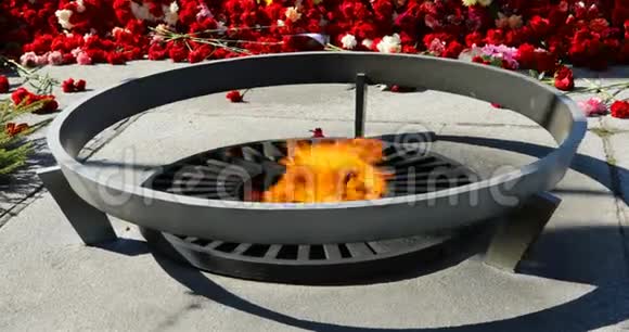 在永恒火焰附近的混凝土板上的红色康乃馨视频的预览图