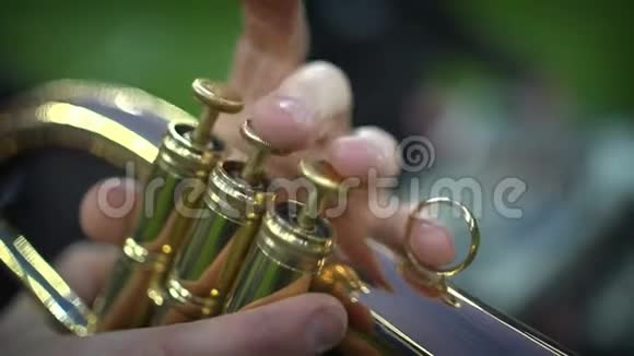 吹喇叭的音乐家手指的特写视频的预览图