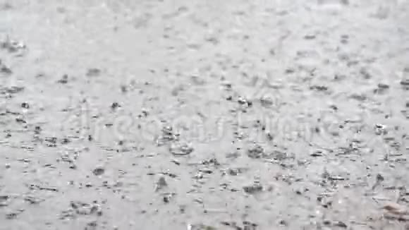 雨水缓慢滴入沥青上的大水坑视频的预览图